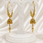 Gold Micro Plated Handcrafted Hoop Jhumka Earrings For Women